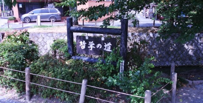 image15-1-650x330.jpeg