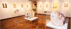 Ryoko Kui Exhibition & "Dungeon Mei" Labyrinth Exploration Exhibition